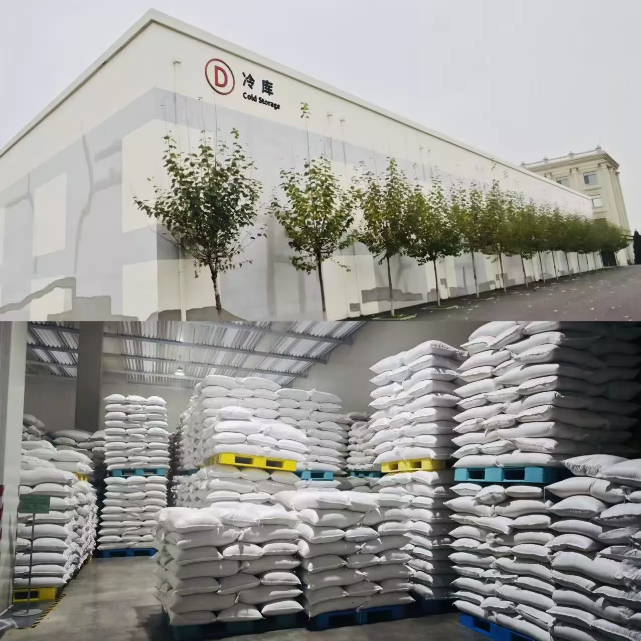 Cold Storage