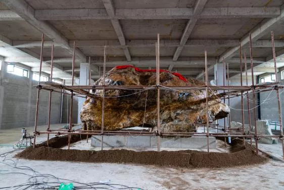 辽宁雨桐玉文化博物馆官网- 辽宁雨桐玉文化博物馆官网